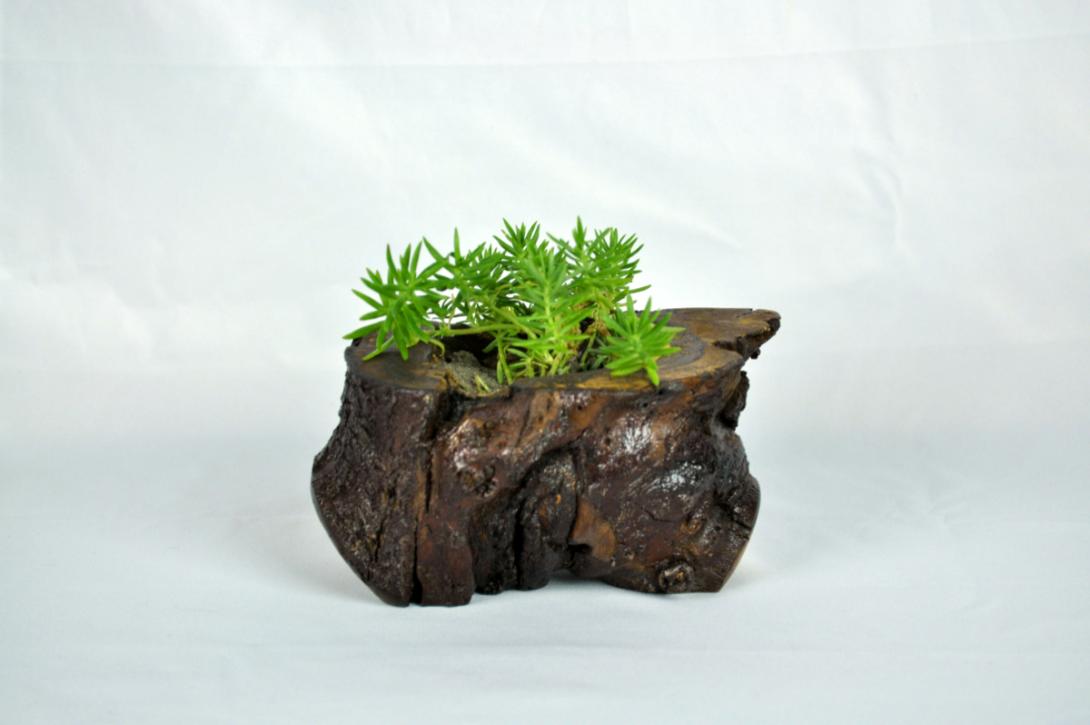 Small Planter